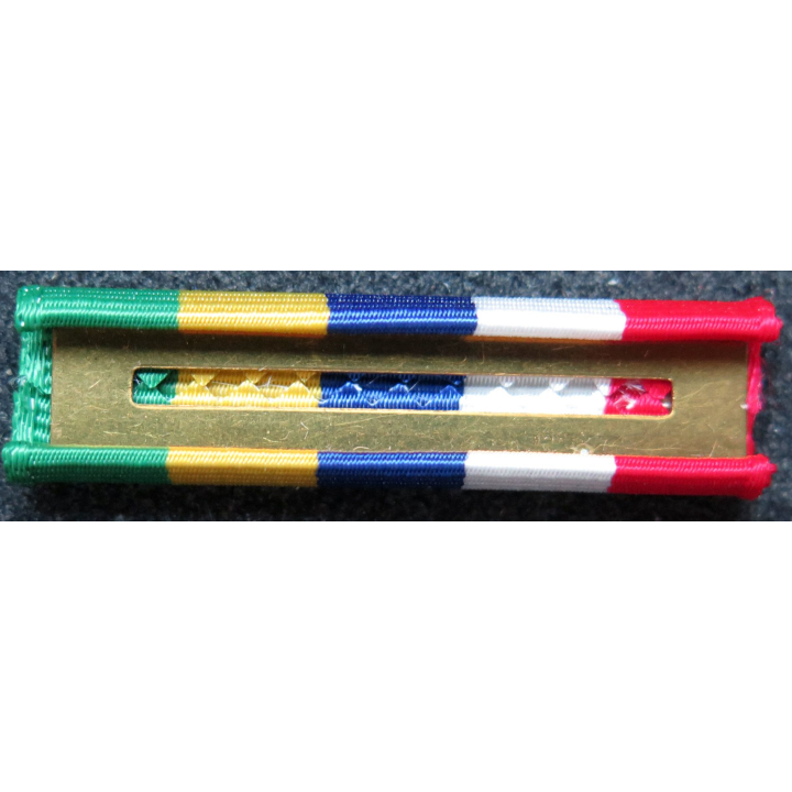 Rappel de la médaille Interamerican Defense Board medal