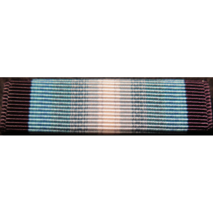 USA : Rappel de la médaille Antartic Service medal