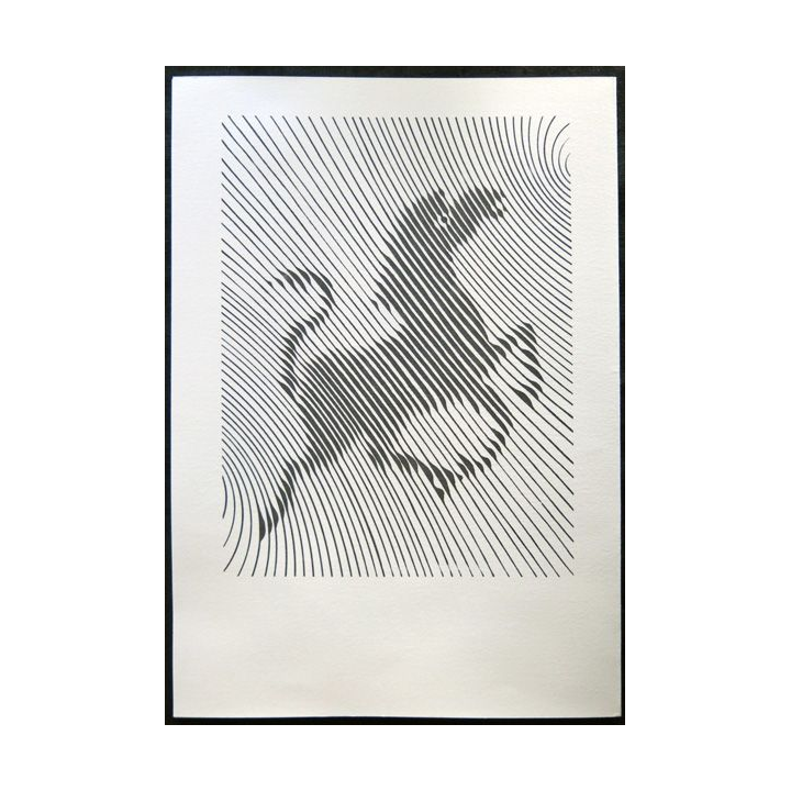 Documents philatéliques officiels la Poste : Vasarely