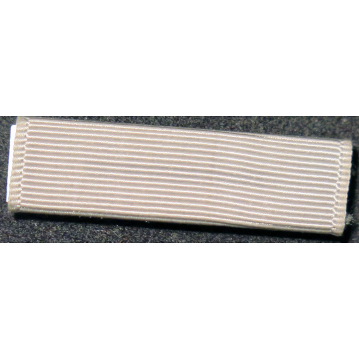 USA : Rappel de la médaille  Career Achievement Award medal ruban gris clair