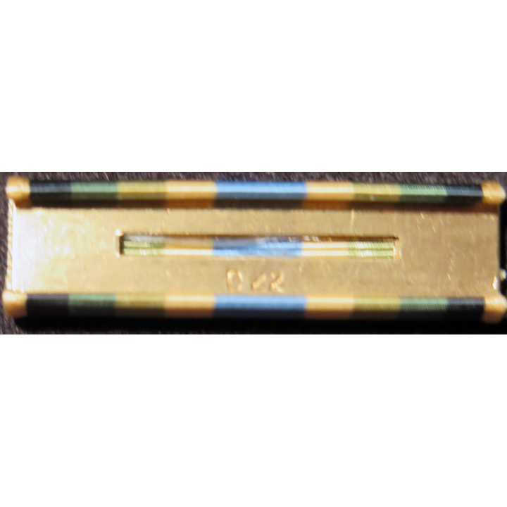 USA : Rappel de la médaille Armed Forces Service medal