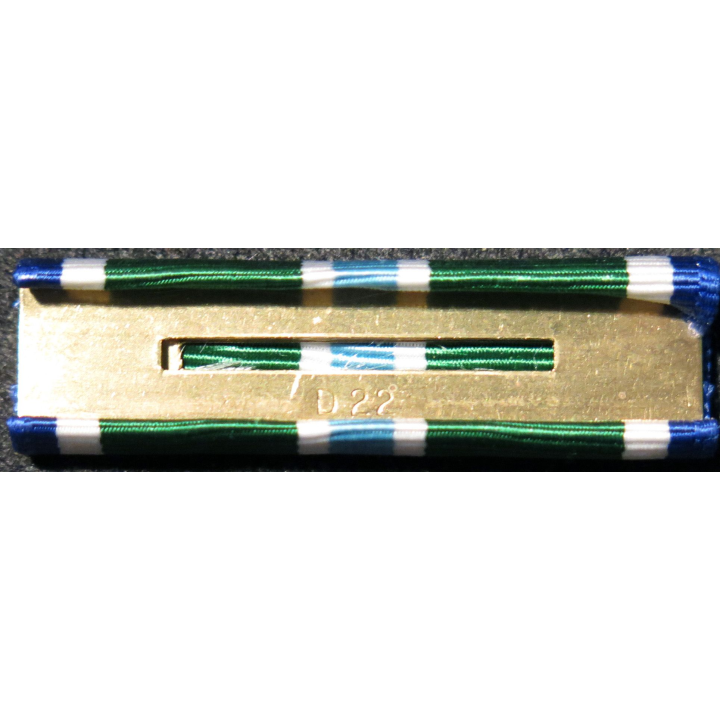 USA : Rappel de la médaille Meritorious Unit Commendation medal