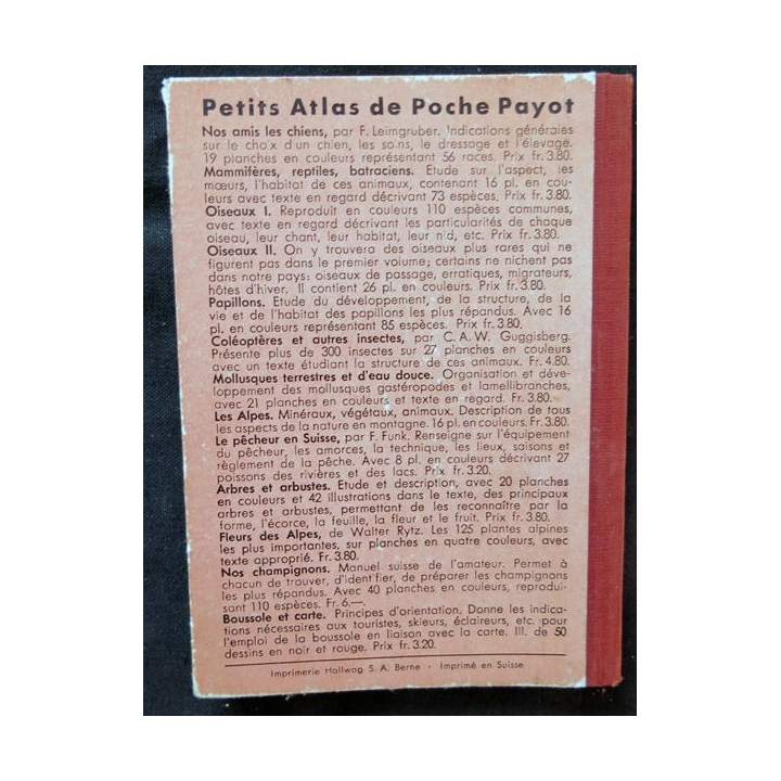 Petit atlas de poche Payot les styles d'architecture
