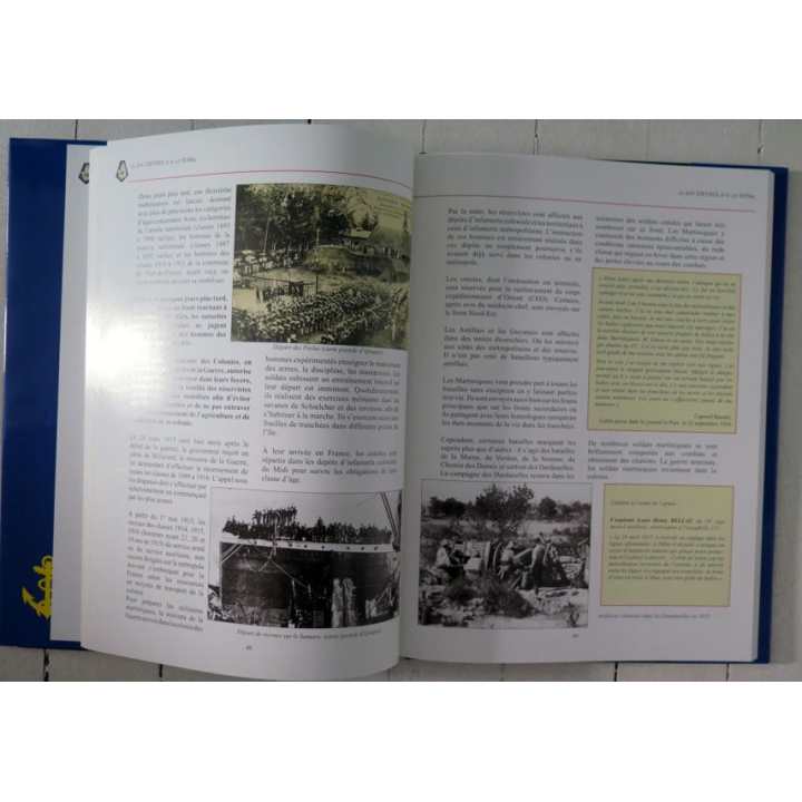 33° RIMA : Le Fort Desaix et le 33° RIMA édition 2012