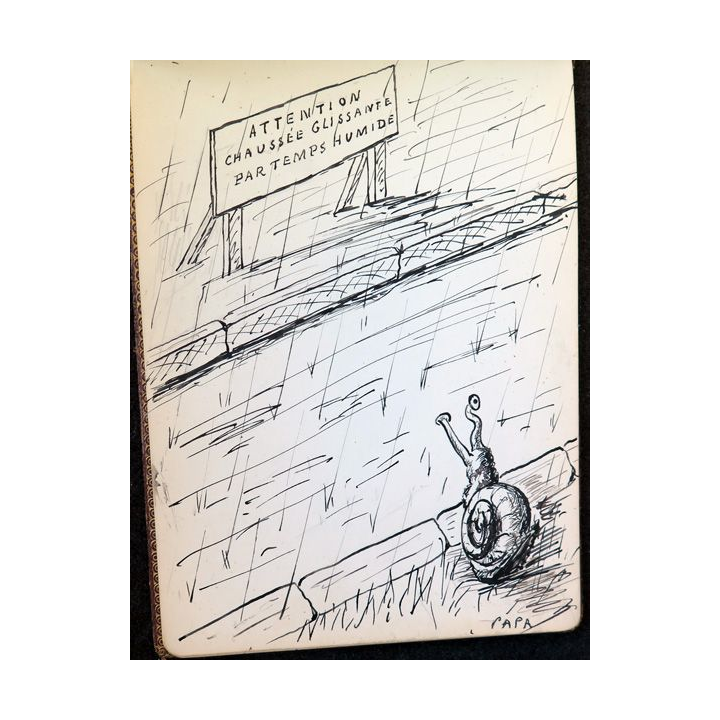 carnet de croquis en cuir de dessins originaux (Faye, ? ...) 1931