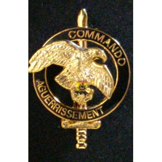6°BIMA : BREVET COMMANDO DAGUERRISSEMENT DORÉ