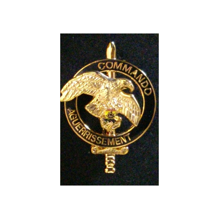 6°BIMA : BREVET COMMANDO DAGUERRISSEMENT DORÉ