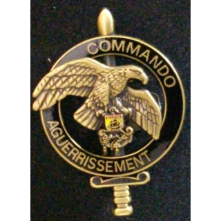 6°BIMA : BREVET COMMANDO DAGUERRISSEMENT CUIVRÉ