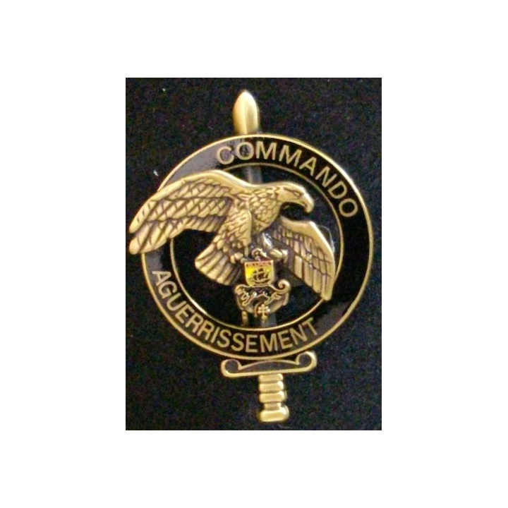 6°BIMA : BREVET COMMANDO DAGUERRISSEMENT CUIVRÉ