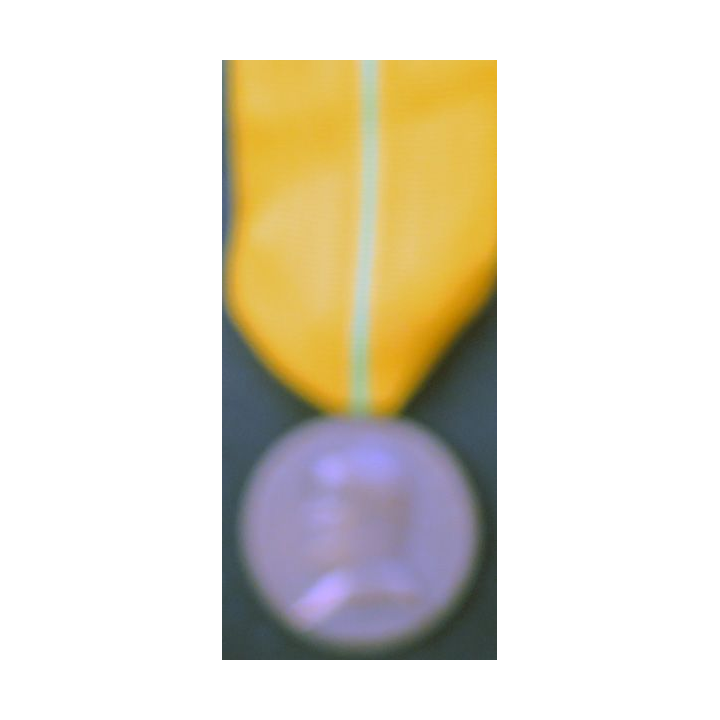 BELGIQUE : médaille des vétérans d'Albert 1° 1909-1934 en bronze