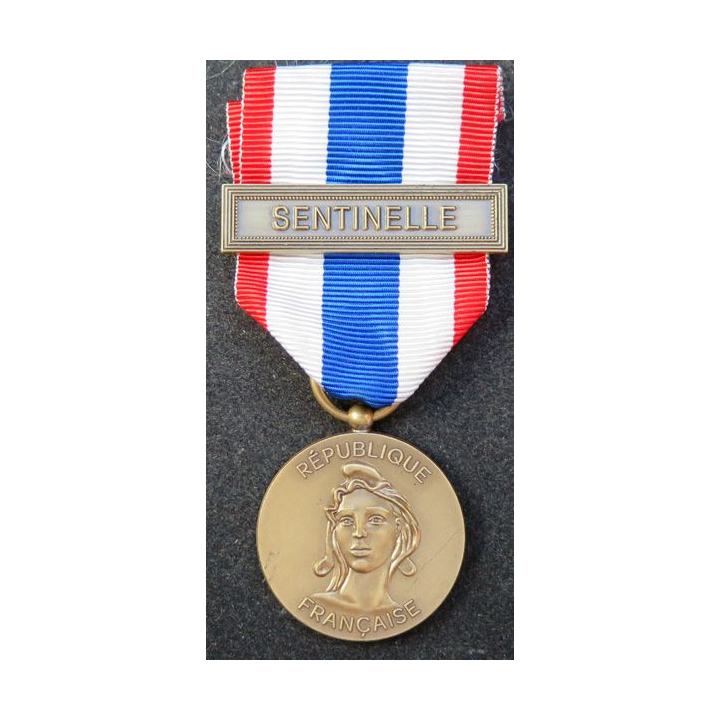 Médaille de la protection militaire du territoire en bronze Sentinelle