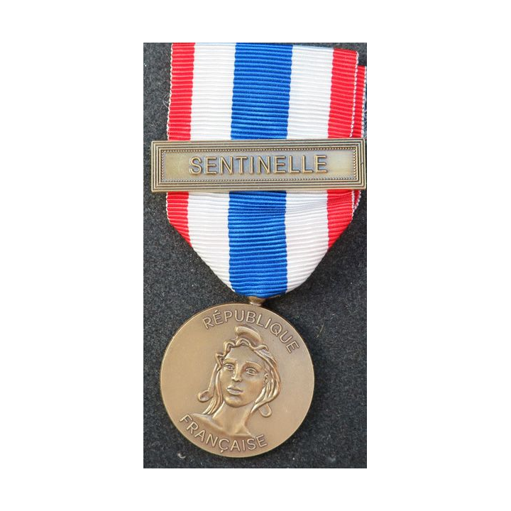 Médaille de la protection militaire du territoire en bronze Sentinelle