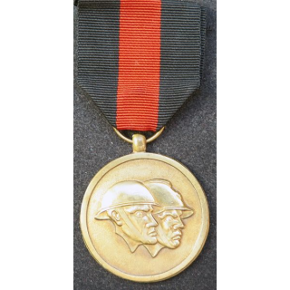 médaille de la reconnaissance fédération nationale des combattants