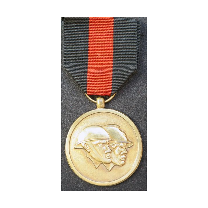 médaille de la reconnaissance fédération nationale des combattants