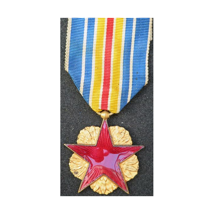 FRANCE : Médaille des blessés en bronze doré avec étoile émaillée rouge