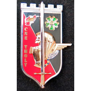 Insigne promotion OAEA-OAES Cne Tholy 2014-2015 Pichard Balme G. 5480