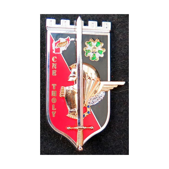 Insigne promotion OAEA-OAES Cne Tholy 2014-2015 Pichard Balme G. 5480