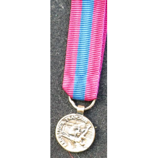 Cette médaille miniature de la défense nationale est en bronze