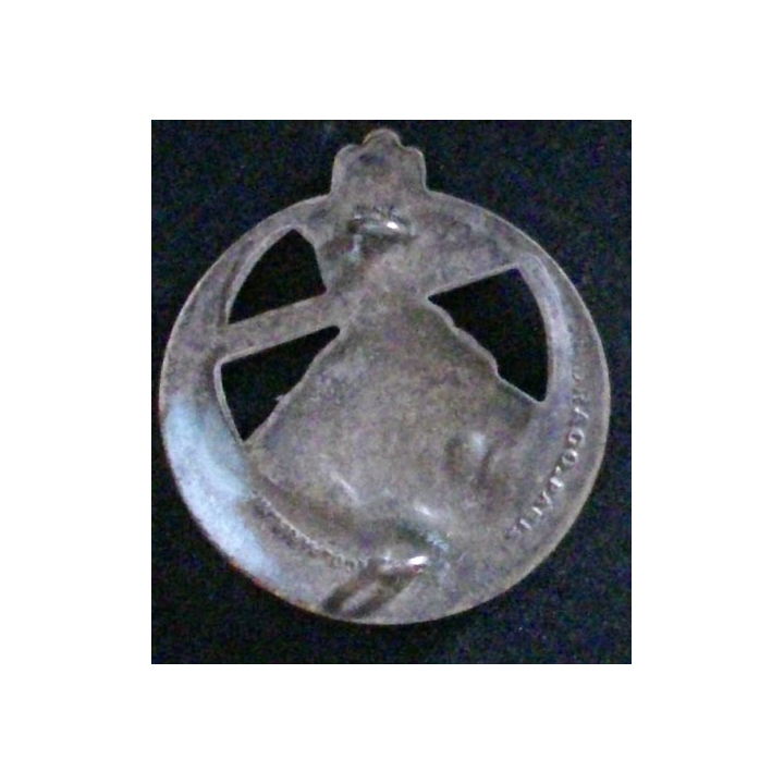 2°RTA : 2°RÉGIMENT DE TIRAILLEURS ALGÉRIENS (LH SEULE PEINTE)