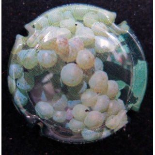 Capsule Muselet de bouteille de champagne générique n° 710g 