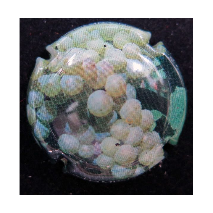 Capsule Muselet de bouteille de champagne générique n° 710g 
