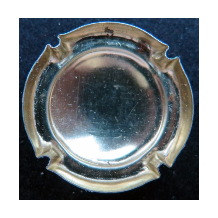 Capsule Muselet de bouteille de champagne générique n° 710g 