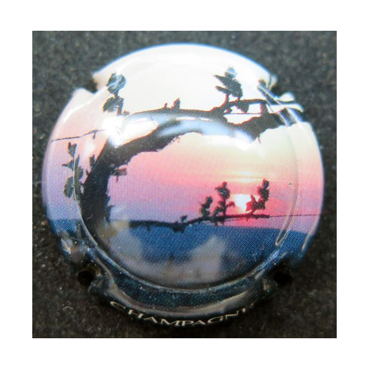 Capsule Muselet de bouteille de champagne générique n° 710