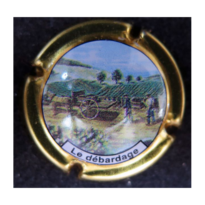 Capsule Muselet de bouteille de champagne COTEAUX SUD EPERNAY 