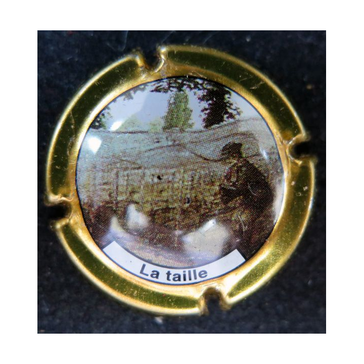 Capsule Muselet de bouteille de champagne COTEAUX SUD EPERNAY 