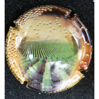 Capsule Muselet de bouteille de champagne générique n° 676 écriture noire