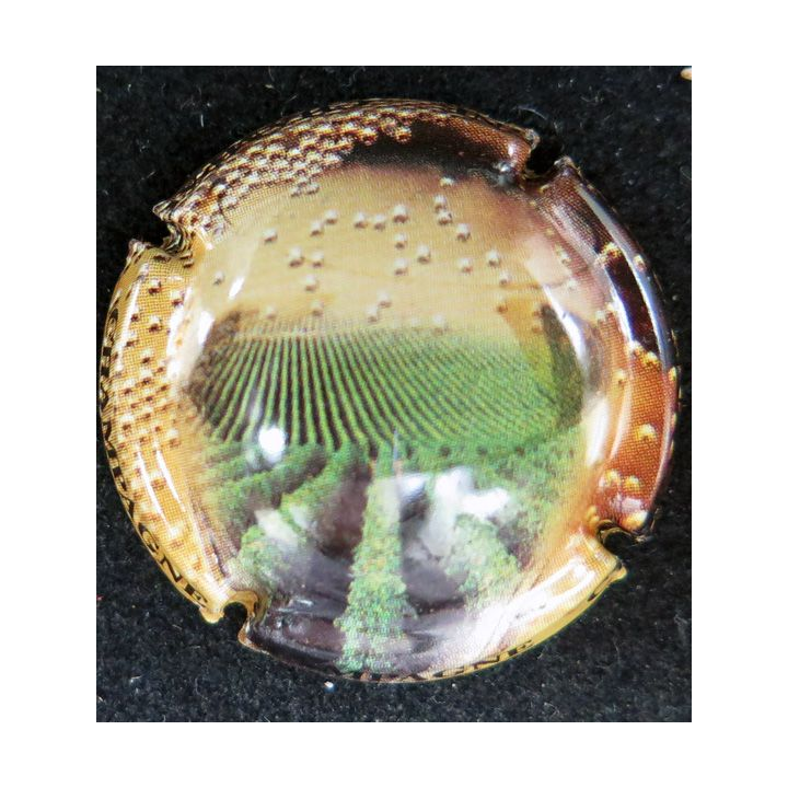 Capsule Muselet de bouteille de champagne générique n° 676 écriture noire