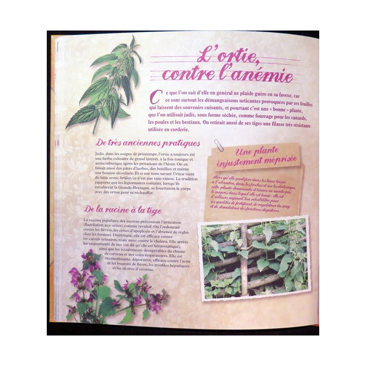 Secrets et recettes de Grand Mère : Plantes médicinales éditions Atlas