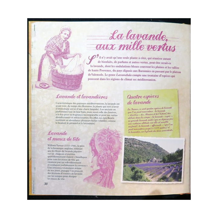 Secrets et recettes de Grand Mère : Plantes médicinales éditions Atlas