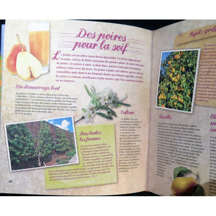 Secrets et recettes de Grand Mère : Fruits du jardin éditions Atlas