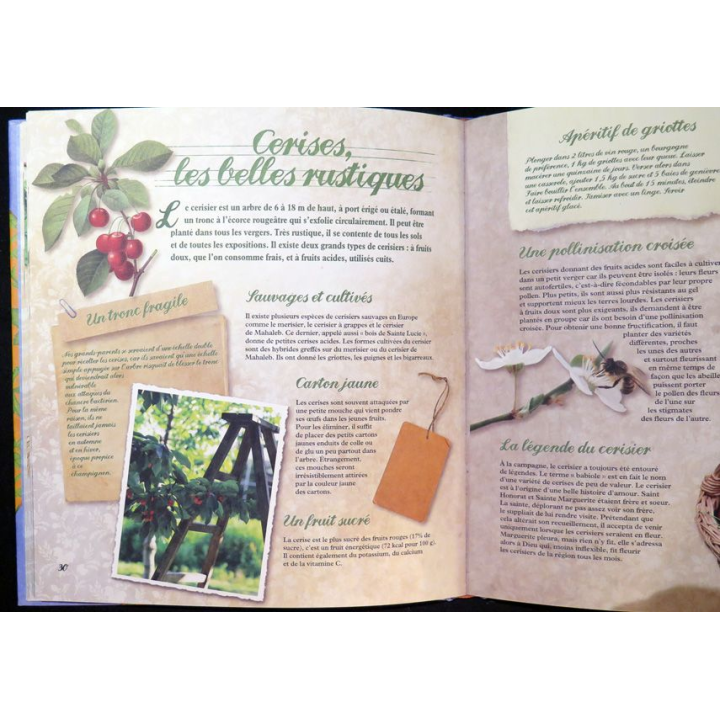 Secrets et recettes de Grand Mère : Fruits du jardin éditions Atlas