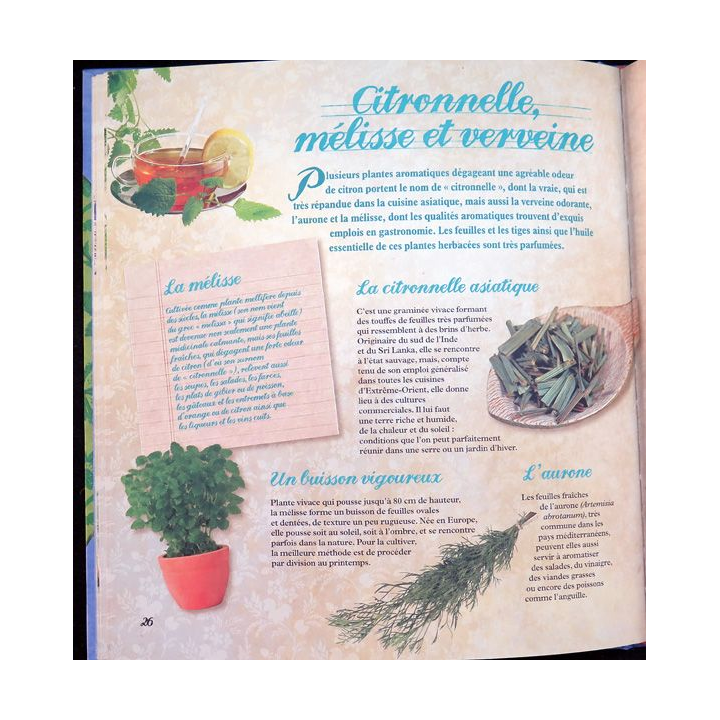 Secrets et recettes de Grand Mère : Plantes aromatiques Editions Atlas