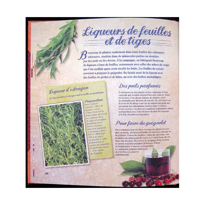 Secrets et recettes de Grand Mère : Liqueurs et apéritifs Editions Atlas