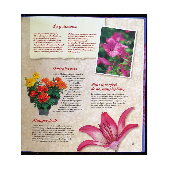 Secrets et recettes de Grand Mère : Fleurs du jardin Editions Atlas