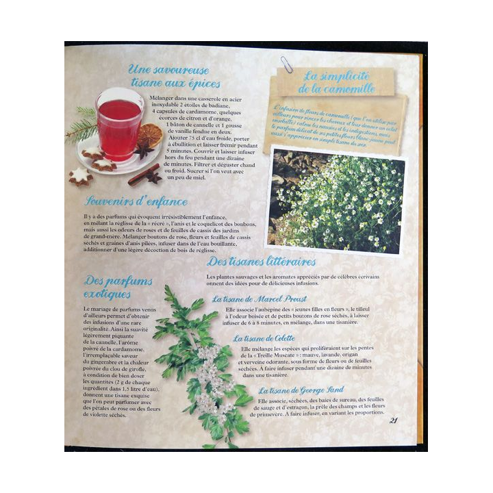 Secrets et recettes de Grand Mère : Tisanes et sirops Editions Atlas