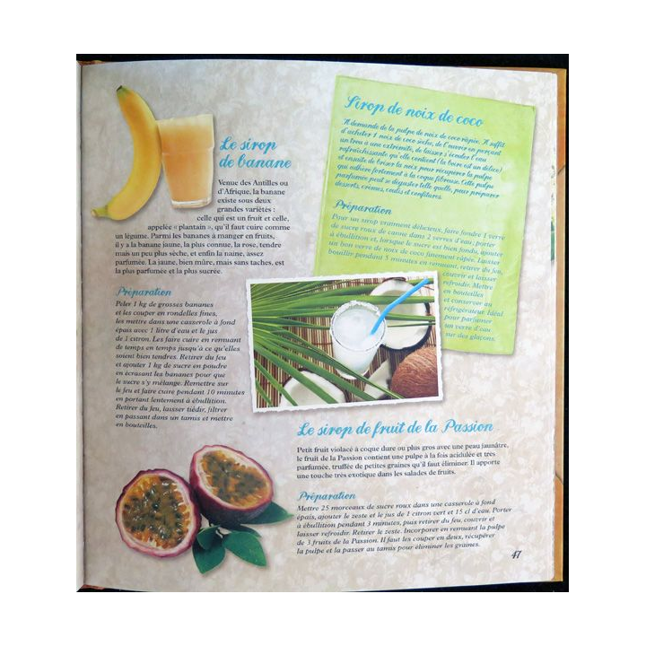 Secrets et recettes de Grand Mère : Tisanes et sirops Editions Atlas