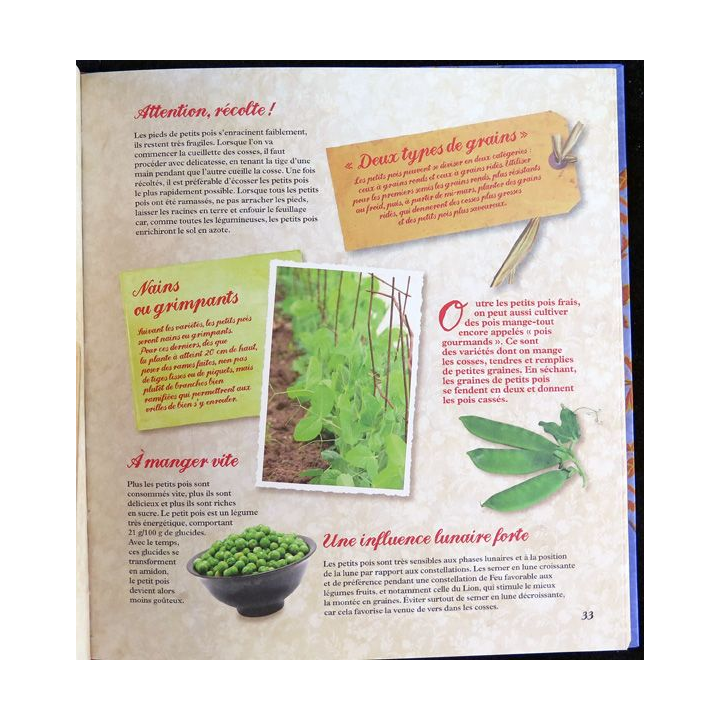 Secrets et recettes de Grand Mère : Mon jardin potager Editions Atlas
