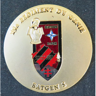 13° RG : médaille du BATGEN 8 du 13° Régiment du Génie 