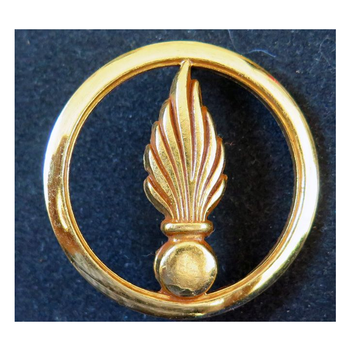 Insigne de béret du Corps des Experts