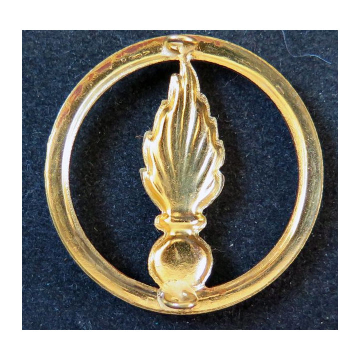 Insigne de béret du Corps des Experts