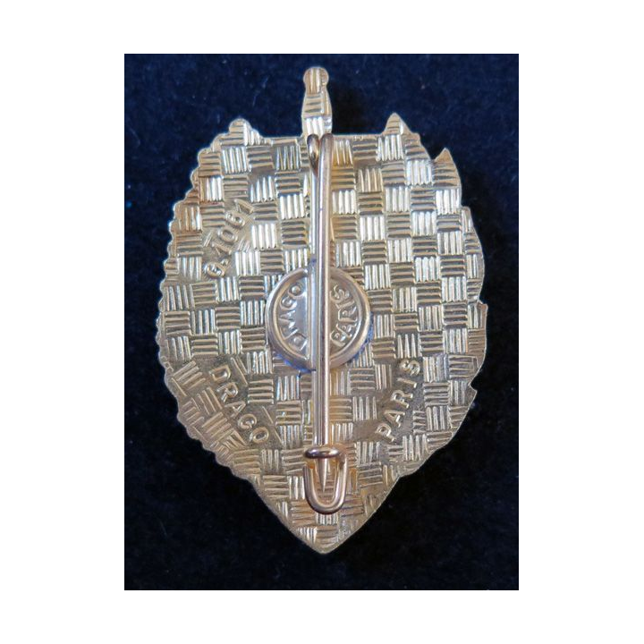 PMS insigne brevet préparation militaire supérieure Drago Paris G. 1061