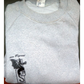 Sweat shirt gris clair du 2° RD régiment de dragons 