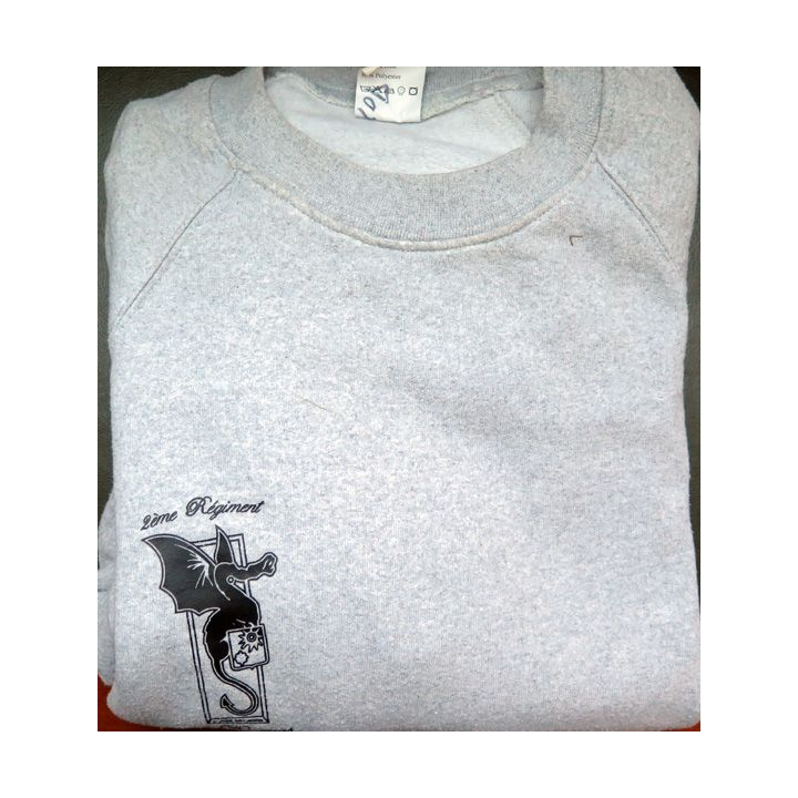 Sweat shirt gris clair du 2° RD régiment de dragons 