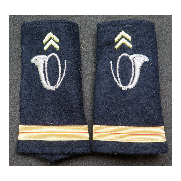 Paire de fourreau d'épaule d'adjudant des chasseurs alpins