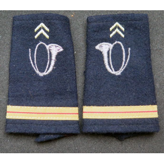 Paire de fourreau d'épaule d'adjudant des chasseurs alpins