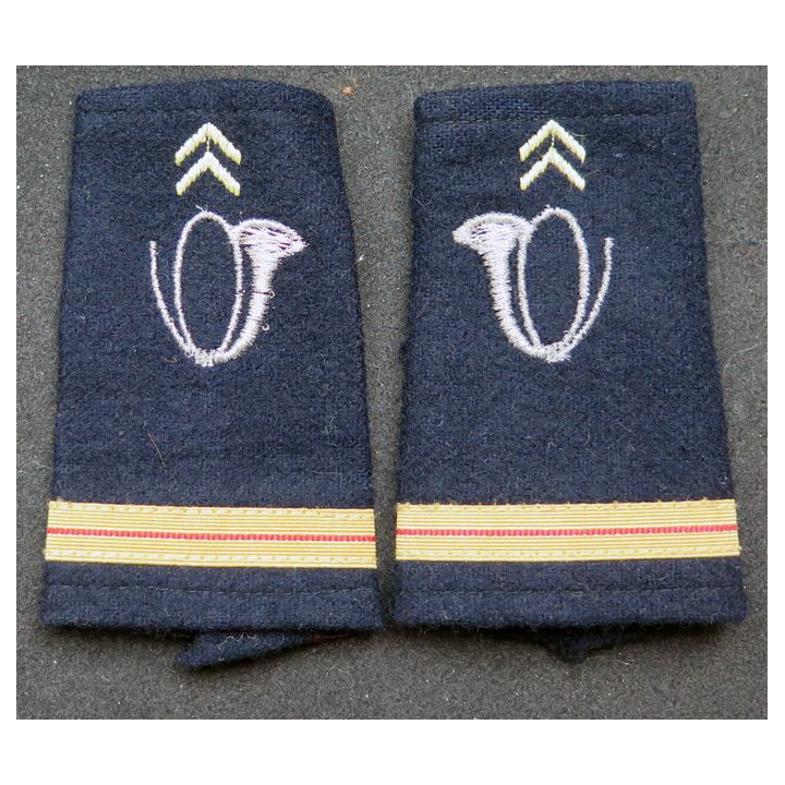 Paire de fourreau d'épaule d'adjudant des chasseurs alpins